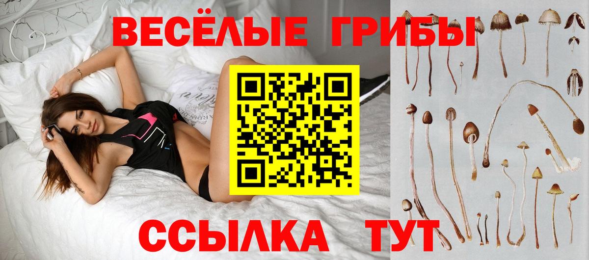 Псилоцибиновые грибы Psilocybine cubensis  Вход с VPN  купить наркотик  Казань 