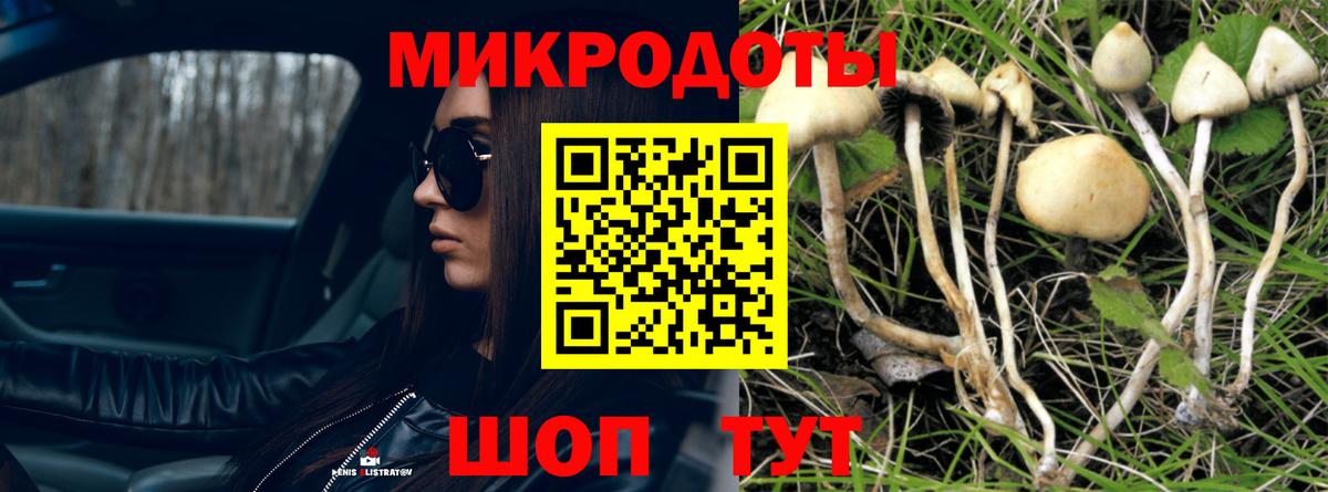 Псилоцибиновые грибы Cubensis Казань